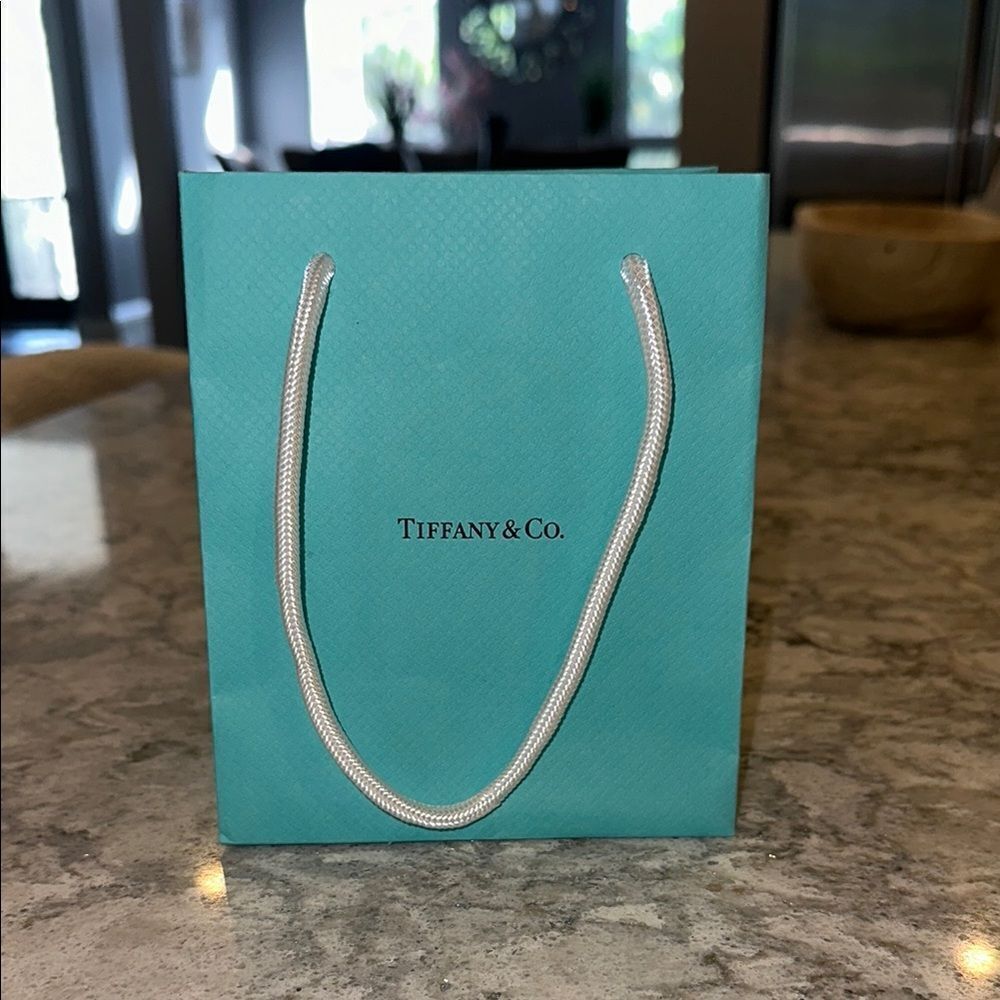 🛍️ Classic Tiffany Blue Shopping Bag - 5” x 6” x 3”
